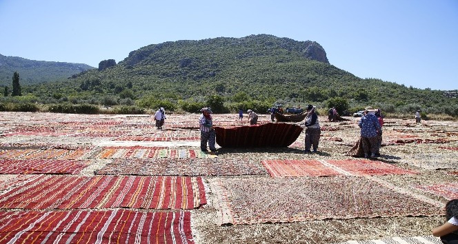 Döşemealtı’nın Halı Tarlaları Dünya Basınında