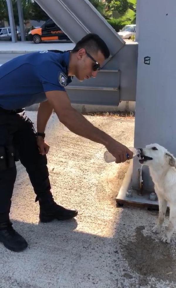 Kumluca Haberleri – Komiser, suyunu sokak köpeğiyle paylaştı