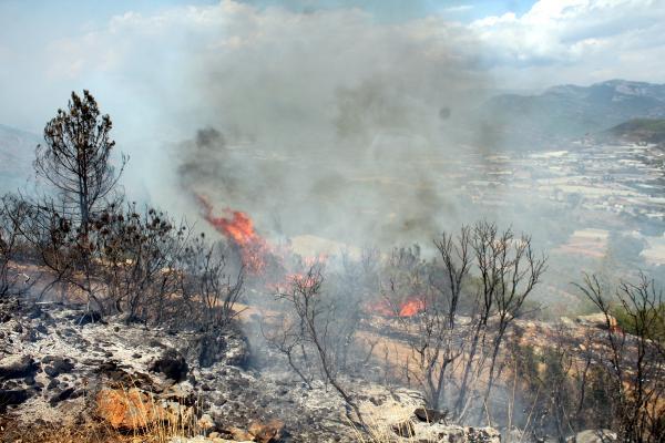 Gazipaşa Haberleri – Gazipaşa’daki yangında 10 dekar makilik alan zarar gördü
