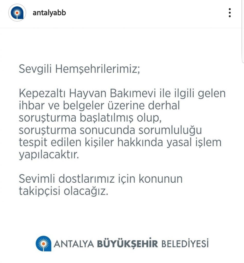 Bu görsel boÅ bir alt niteliÄe sahip; dosya adı büyükÅehir-belediyesi-949x1024.jpeg