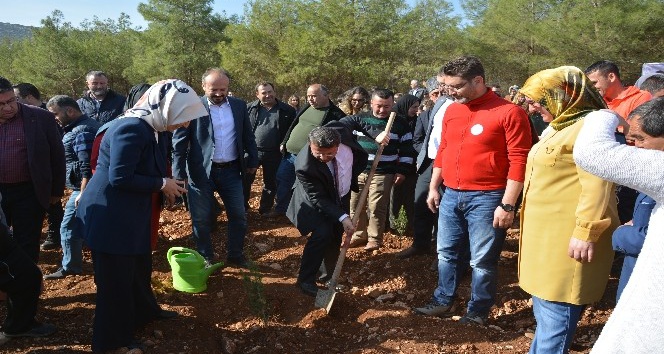 Korkuteli’nde 4 Bin 500 Fidan Toprakla Buluştu