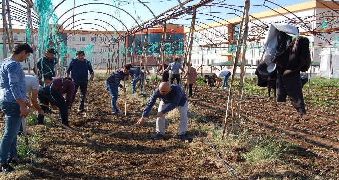 Kumluca’da öğrenciler kışlık sebze ekimi yaptı