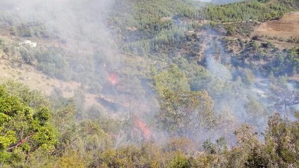 Gazipaşa’da bu yıl 8 orman yangını çıktı