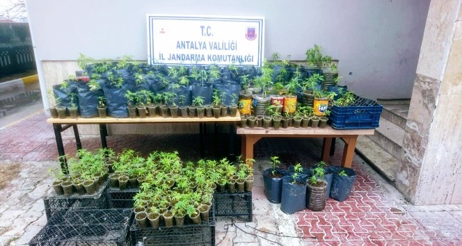 Antalya’da uyuşturucu operasyonu
