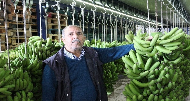 Okullarda muz tüketimine üreticilerden tam destek