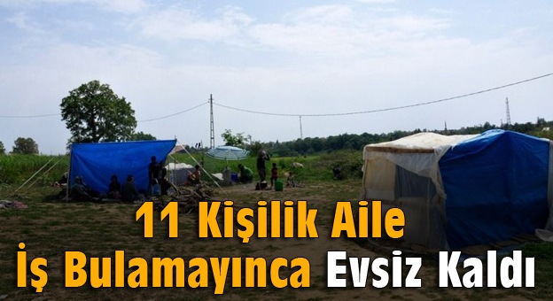 11 kişilik aile, iş bulamayınca evsiz kaldı