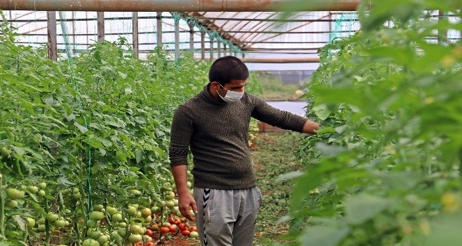 Antalya’da üretim son gaz devam ediyor