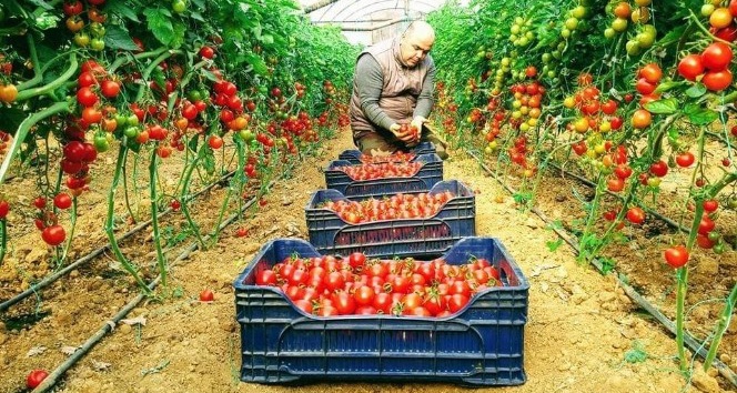 Tarım teşvikine fırsatçı uyarısı