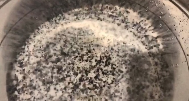 Temizlemek için söktüğü musluk filtresinde yüzlerce sinek görünce şaşkına döndü