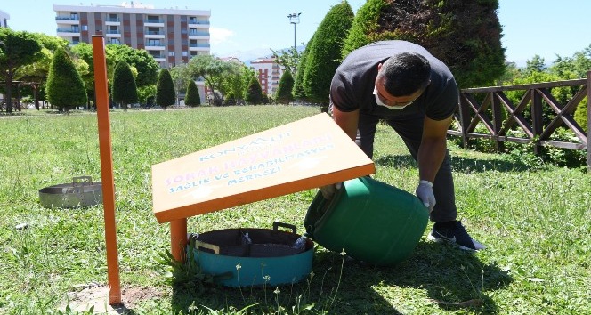 Konyaaltı, sokak hayvanlarına 5 ton mama ulaştırdı