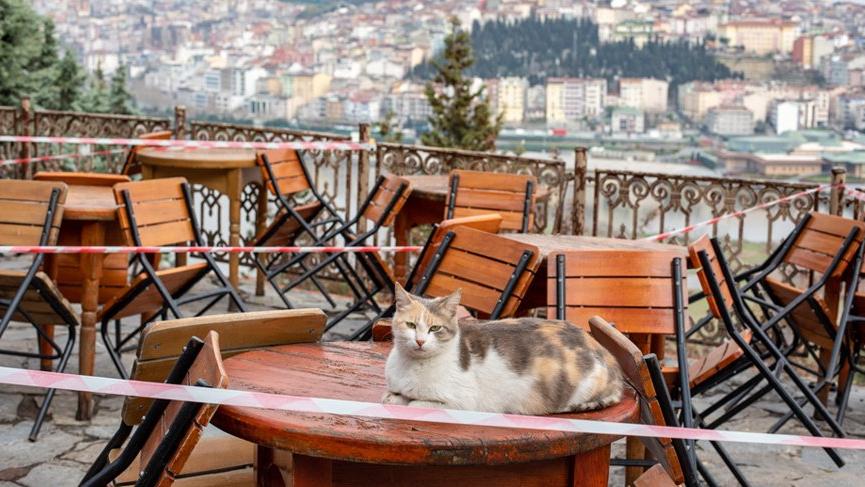 Son dakika… İçişleri’nden kafe ve restoranlarla ilgili genelge!