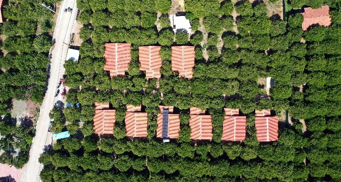 Kemer’de kaçak yapıya taviz verilmeyecek