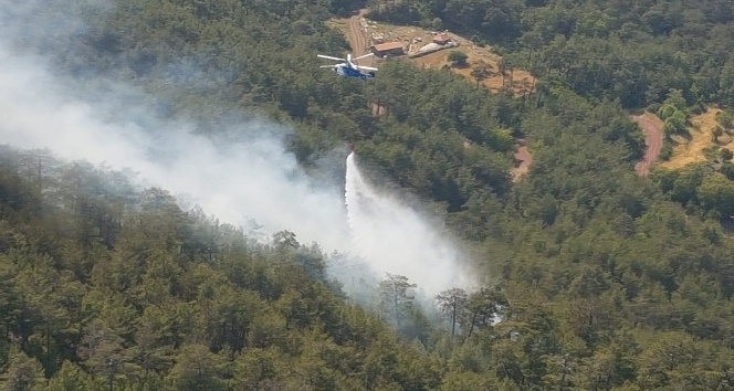 Antalya’da orman yangını büyümeden söndürüldü