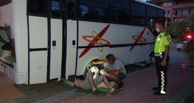 Yavru kedinin saklandığı midibüs hakkında yakalama kararı olduğu ortaya çıktı