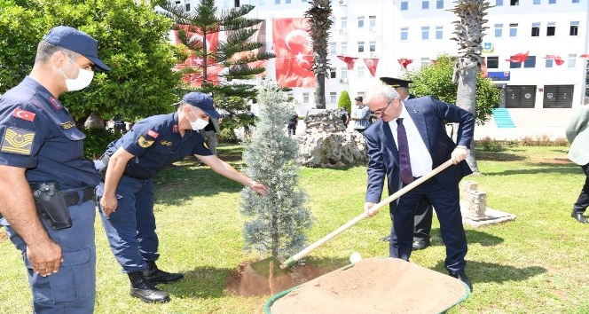 Vali Karaloğlu Jandarma Komutanlığı’nın bahçesine veda fidanı dikti