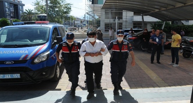 Alanya’da evinin bahçesinde uyuşturucu yetiştiren şüpheli tutuklandı