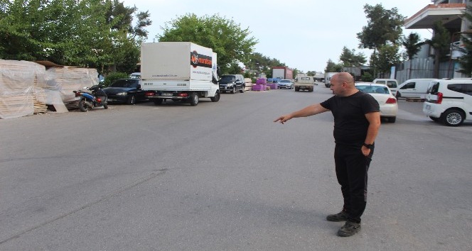 Kamyonetin çarpıp kaçtığı köpek barınakta tedavi altın alındı