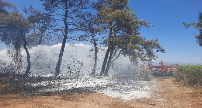 Manavgat’ta orman yangını