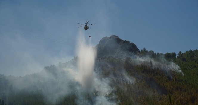 Antalya’da orman yangınında 3 hektar alan kül oldu