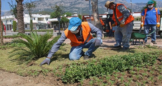 Kemer meydanına 33 bin bitki dikildi