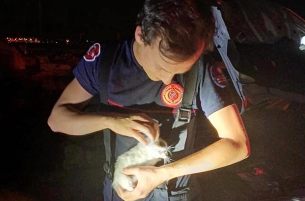 Motora sıkışan yavru kediyi itfaiye kurtardı