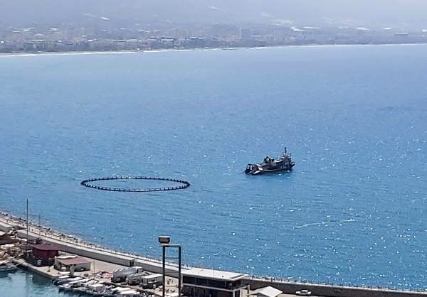 Alanya limanında orkinos kirliliği iddiası