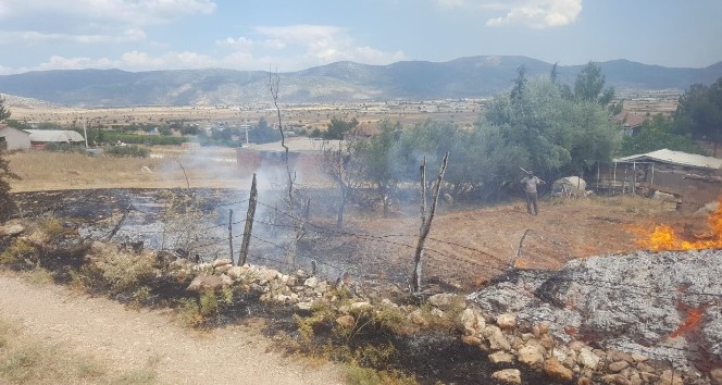 Tellere temas eden kargalar yangına sebep oldu