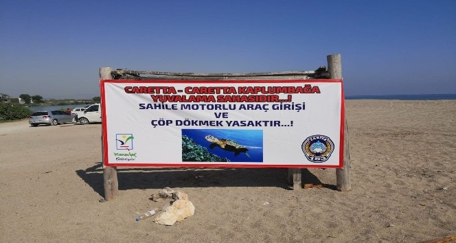 Caretta caretta yuvalarını korumak için kazılan hendekler de yetersiz kaldı, tedbirler artırıldı