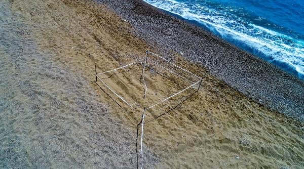 Caretta carettaların yuvaları sorumsuz sürücülerin tehdidi altında