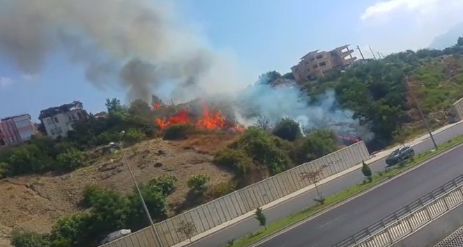 Alanya’da çıkan yangın yerleşim yerlerine sıçramadan söndürüldü