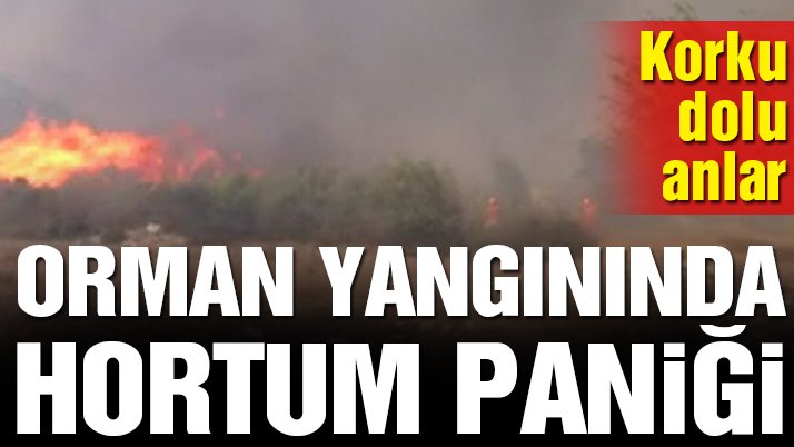 Antalya’daki orman yangınında hortum paniği