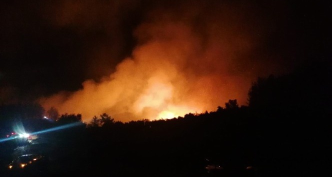 Manavgat’ta orman yangını