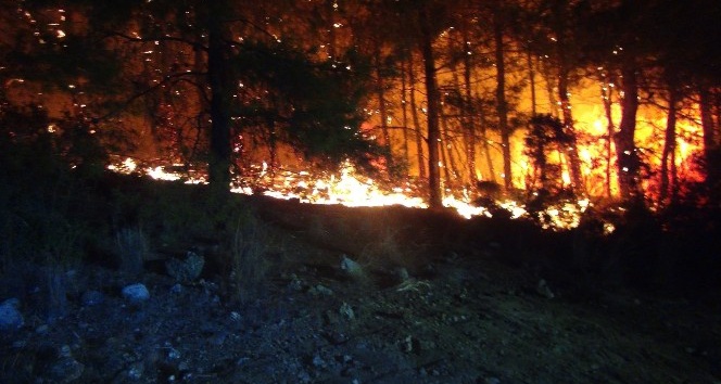 Manavgat’taki orman yangını yerleşim yerlerine ulaşmadan kontrol altına alındı