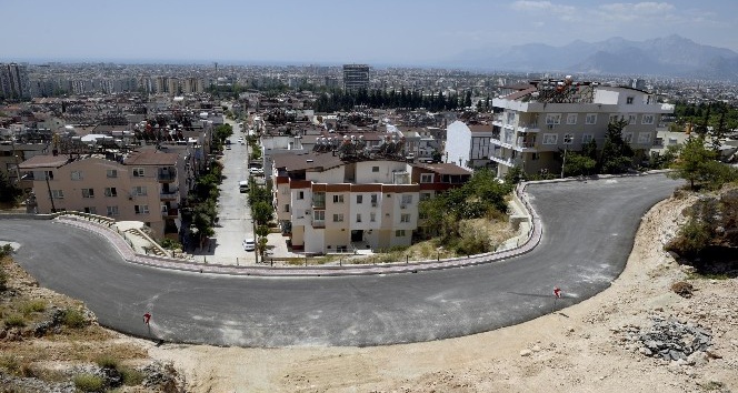 Barış Mahallesi Akdeniz bitkileriyle süslenecek