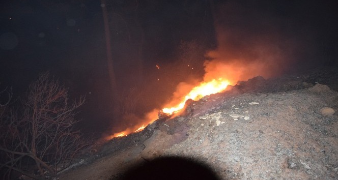 Antalya’daki orman yangınının ilerlemesi durduruldu