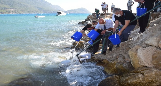 Kumluca’da 5 bin levrek yavrusu denizle buluştu