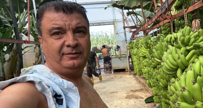 Serasında bir hevenkte 134 kilogram muz öretti - Antalya Haber Gündemi