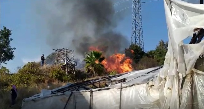 Alanya’da çalılık alanda yangın