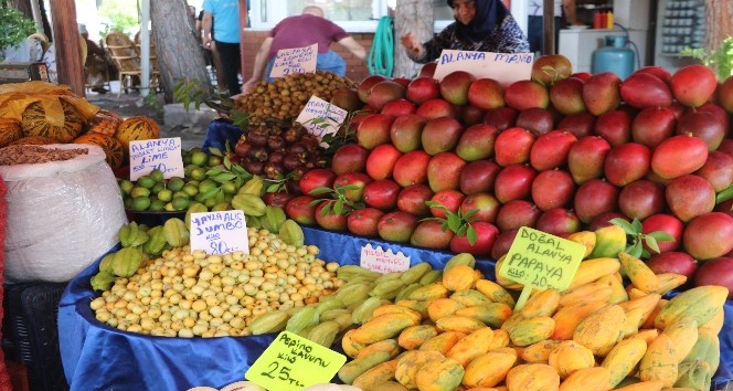 Alanya’da yetişen tropik meyveler fiyatlarıyla dudak uçuklatıyor