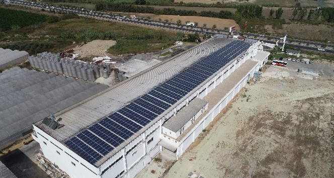 Enerjisini güneşten alan dev fabrika, yıllık 500 bin TL’lik tasarruf sağlıyor