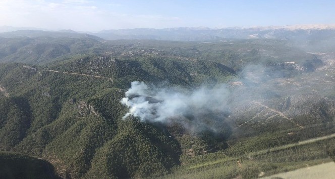 Antalya’daki yangında 10 hektarlık orman yandı