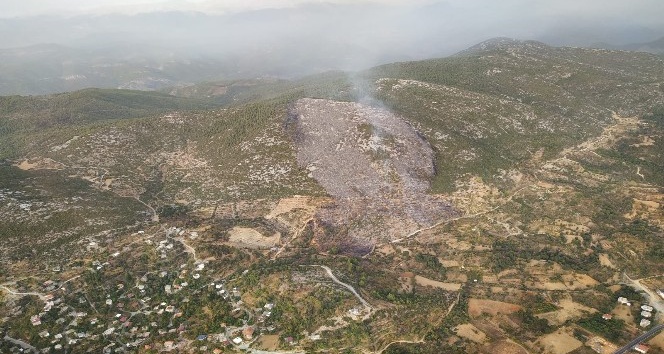 Alanya’daki orman yangınında 6 hektarlık makilik alan zarar gördü