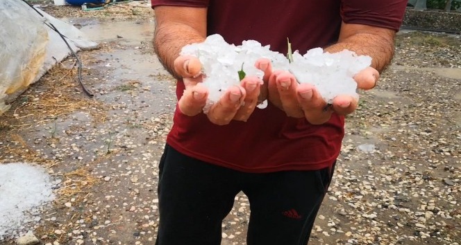 Kumluca’da dolu yağışı seralara zarar verdi