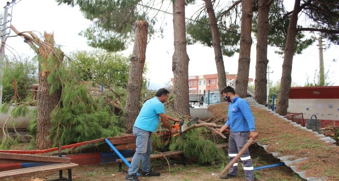 Kumluca’da fırtınanın izleri siliniyor