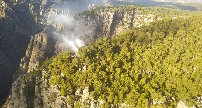 Tazı Kanyonunda orman yangını