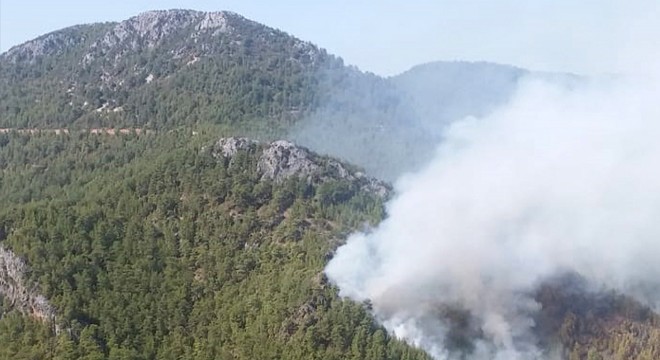 Gündoğmuş’ta orman yangını