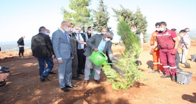 Manavgat’ta Bin ağaç dikildi, bin ağaç dağıtıldı