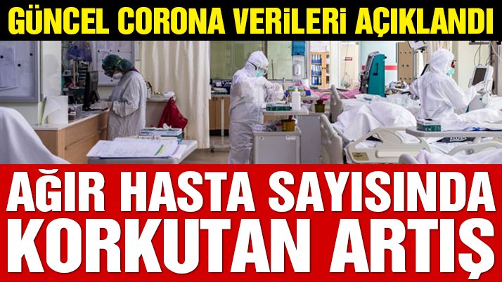 Son dakika… Güncel corona verileri açıklandı! İşte 9 Kasım tablosu