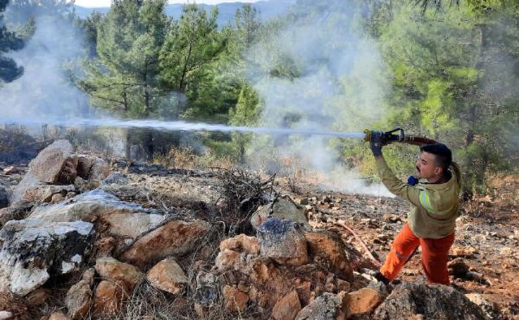 Manavgat’ta yanan orman alanında kaçak kesim yapıldığı belirlendi