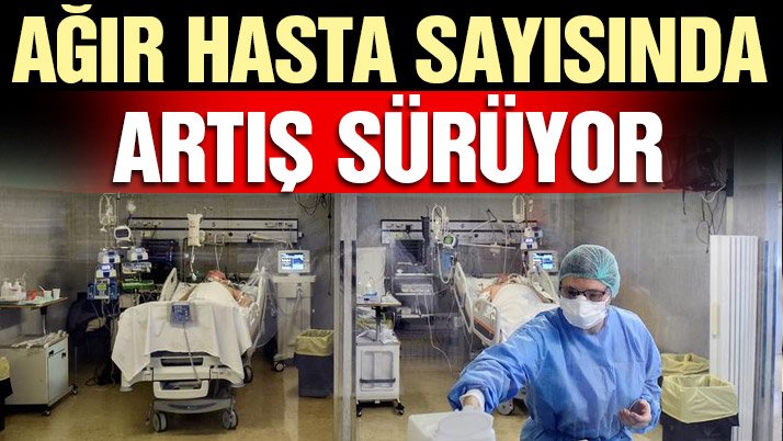 Son dakika… Güncel corona verileri açıklandı! İşte 4 Kasım tablosu…